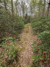 Homes for sale in Weston, CT | 00 Birch Hill 15 2 17 Rd, Weston, CT 06883 | MLS# 170584951