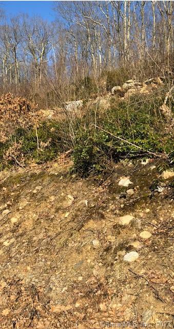 Incredible potential to build your dream home right across from Pratt Pond! This is for 2 lots (one nonconforming .66 acre and one 1.34 acre) that can be combined into a 2 acre parcel, perfect for building a home with incredible views. A perk test was done, sanitation approved and a survey done several years ago, town may have records of all. Land has an incline but has a view on top. Buyer and Buyer's agent to do their due diligence. Assessment for #133 is 9730- (tax 367-) and #123 is 27,650- (tax 1,042-).