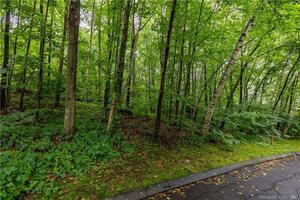 Homes for sale in Plymouth, CT | 1 Michael Dr, Plymouth, CT 06786 | MLS# 24016549