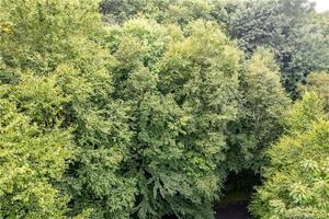 Homes for sale in Plymouth, CT | 1 Michael Dr, Plymouth, CT 06786 | MLS# 24016549