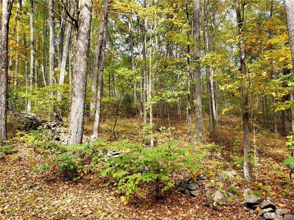 Last lot left in quiet neighborhood. Lightly wooded. No testing. Lot was purchased as privacy for 22 Forest Ridge. House only listing MLS# 170587460 $759, 900. Combined listing for house and lot $825, 000 MLS # 170587460