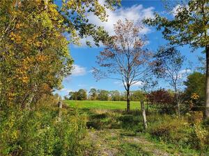 Homes for sale in Goshen, CT | Brynmoor Ct #WL Lot 556, Goshen, CT 06756 | MLS# 170605627