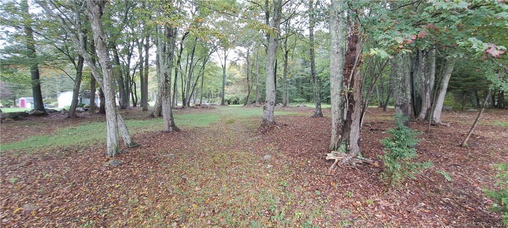 1.18 acre residential treed lot available in subdivision cul-de-sac. Lot improvements include lot staked, curbs & gutters, and finish graded Electric is available; well and septic are required. 150 feet of road frontage in RM40 zone. Plot plan/survey available.