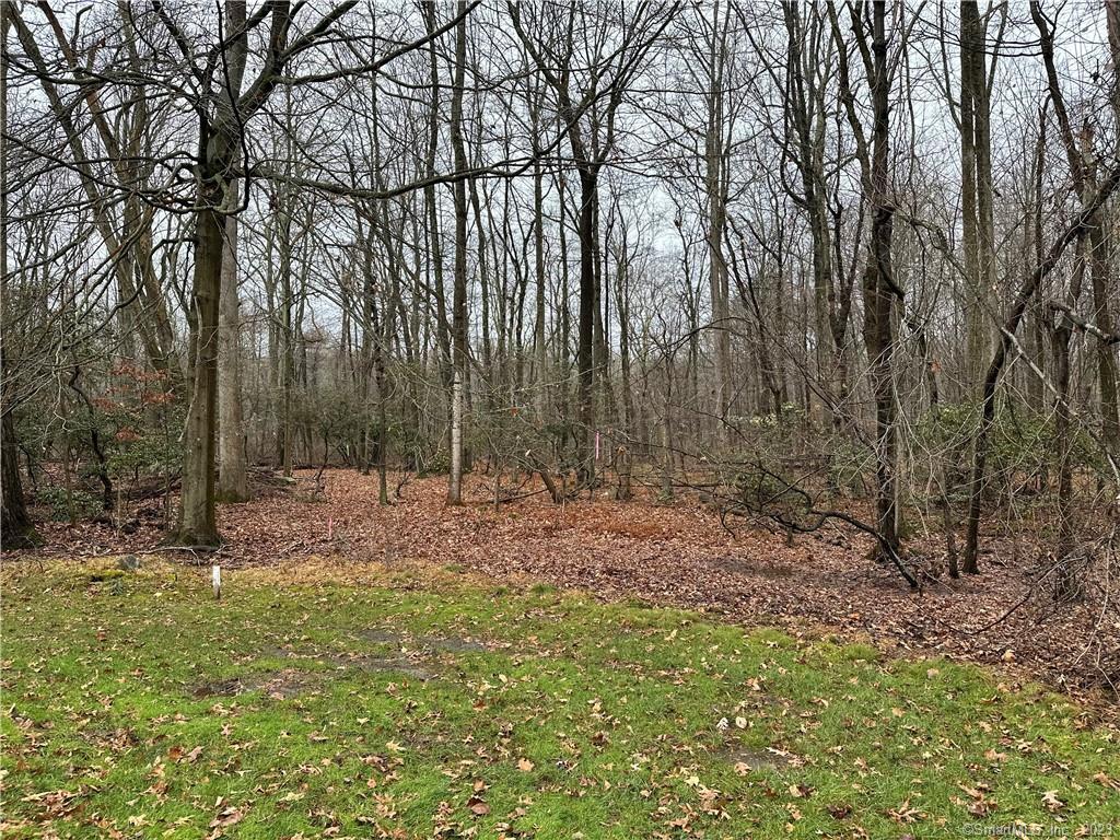 53 Michigan Road, New Canaan, Connecticut photo 1