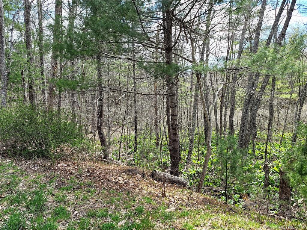 Lot #5 Turnpike, Ashford, 06278, ,Lots And Land For Sale,For Sale,Turnpike,170617913