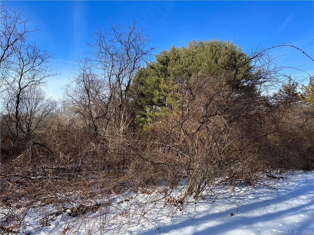 If you are looking for the perfect location to build your dream home, this is it! Beautiful slightly sloping land with mature trees in desirable Norwichtown area. Stunning stone wall bordering the front of property with possible opening for driveway already in place subject to approval of a site plan and home location. Minutes to RT 395 and RT 2 for travel North, South, East or West, convenient to shopping, casinos, restaurants, park, golf, indoor skating, hospital, medical facilities and more! Buyers and Buyer's agent RESPONSIBLE to complete due diligence on the property regarding requirements and regulations for building a home.