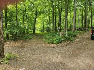 Homes for sale in Ashford, CT | 54 Seckar Rd, Ashford, CT 06278 | MLS# 24044710