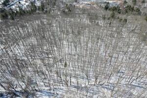 Homes for sale in Harwinton, CT | 0 North Rd, Harwinton, CT 06791 | MLS# 24043259