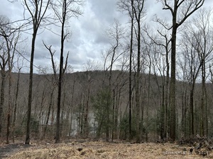 Homes for sale in Newtown, CT | 30 Cedarhurst Trl, Newtown, CT 06482 | MLS# 24002609