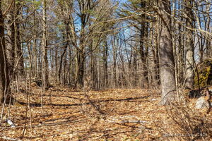 Homes for sale in Goshen, CT | 766 North St, Goshen, CT 06756 | MLS# 24002288