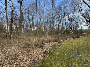 Homes for sale in Bloomfield, CT | 31 Tower Ave, Bloomfield, CT 06120 | MLS# 24004439