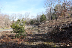 Homes for sale in Bridgewater, CT | 190 Blueberry Hill Rd, Bridgewater, CT 06752 | MLS# 24008258