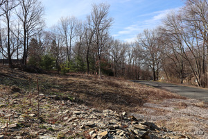 Homes for sale in Bridgewater, CT | 190 Blueberry Hill Rd, Bridgewater, CT 06752 | MLS# 24008258