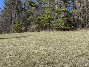 Homes for sale in Canaan, CT | 198-3 Beebe Hill Rd, Canaan, CT 06031 | MLS# 24009526