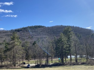 Homes for sale in Canaan, CT | 198 4 Beebe Hill Rd, Canaan, CT 06031 | MLS# 24009690