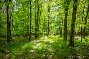 Homes for sale in Canaan, CT | 198 1 Beebe Hill Rd, Canaan, CT 06031 | MLS# 24009474