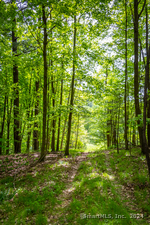 Homes for sale in Canaan, CT | 198-2 Beebe Hill Rd, Canaan, CT 06031 | MLS# 24009497