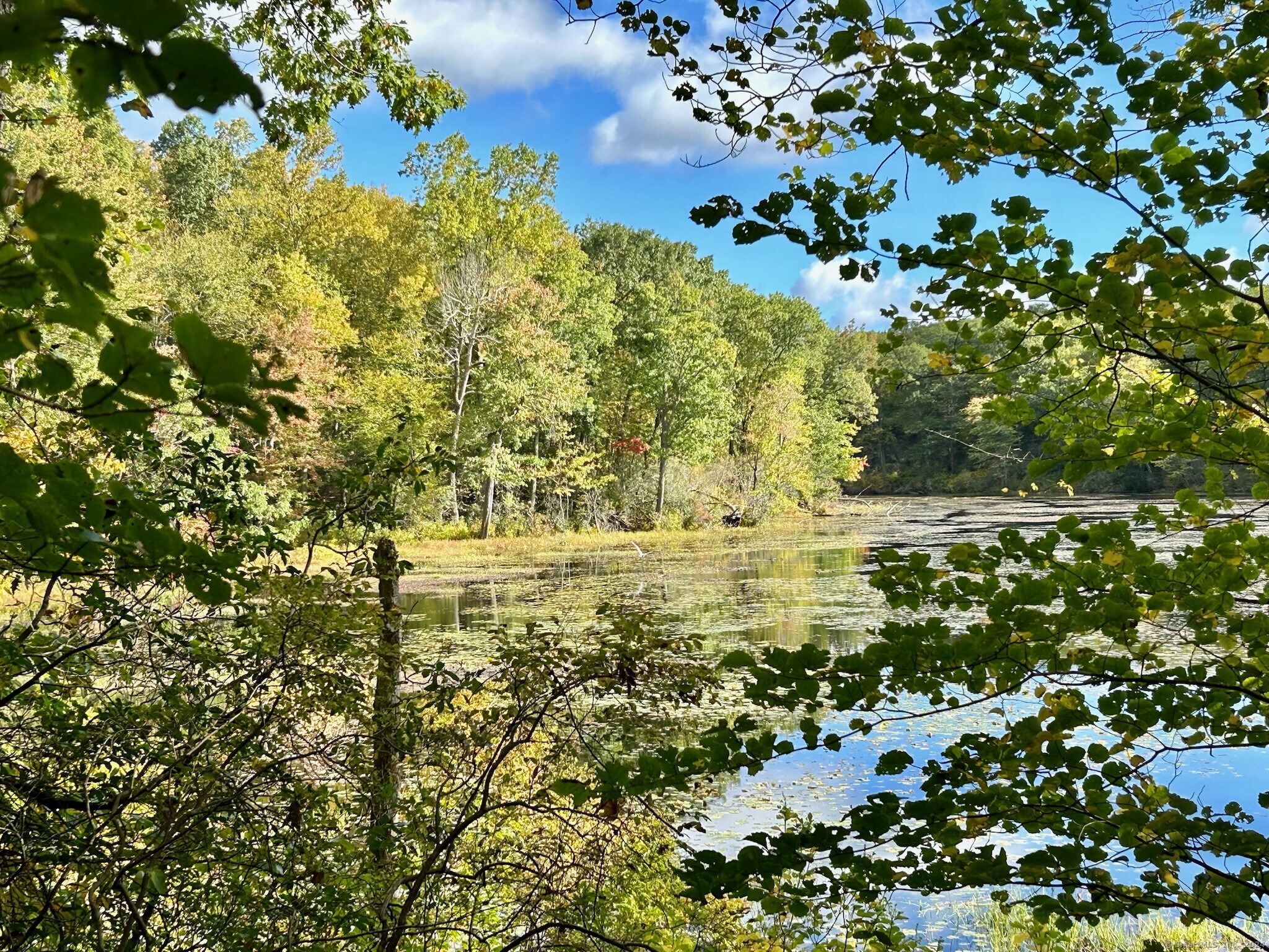 Woodbury CT Price 14,500