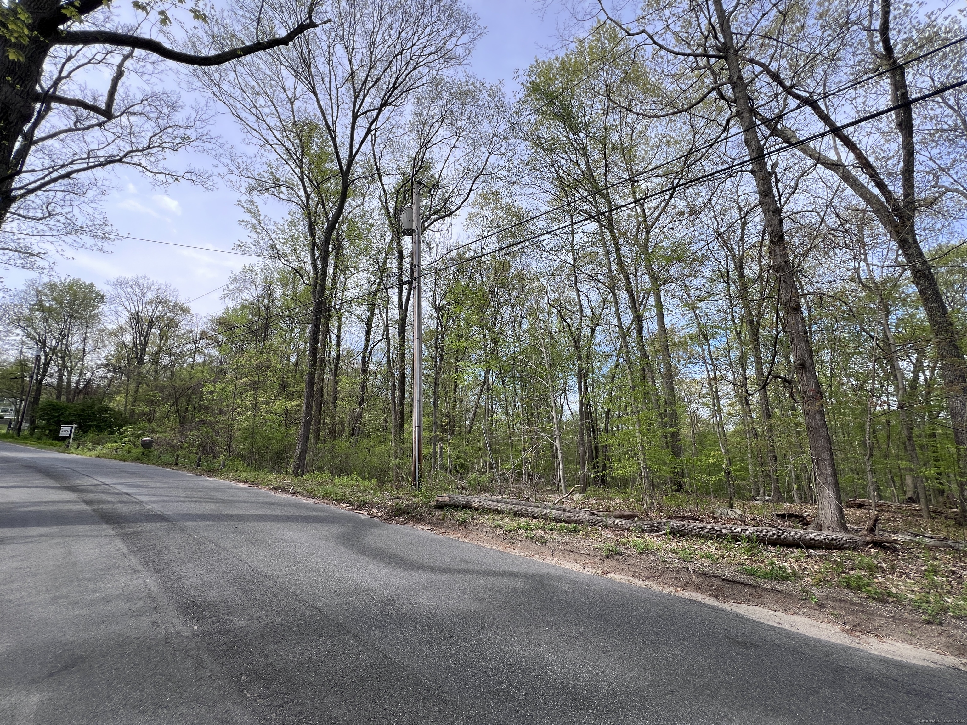 Nearly 12 acres of land, with nearly 300 feet of frontage directly on Lighthouse Road, just minutes to Main Street in Woodbury. First time on the market in 50 years. Surveyor analysis suggests front building site directly on Lighthouse Road, and long driveway to large, open meadow for additional building site. Land location and slope likely to provide wonderful distant views of Woodbury center and hills beyond. Zoning may permit a multi lot subdivision subject to feasibility study and P & Z approvals.