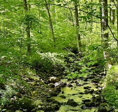 Homes for sale in Newtown, CT | 13 Jordan Hill Rd, Newtown, CT 06482 | MLS# 24019757