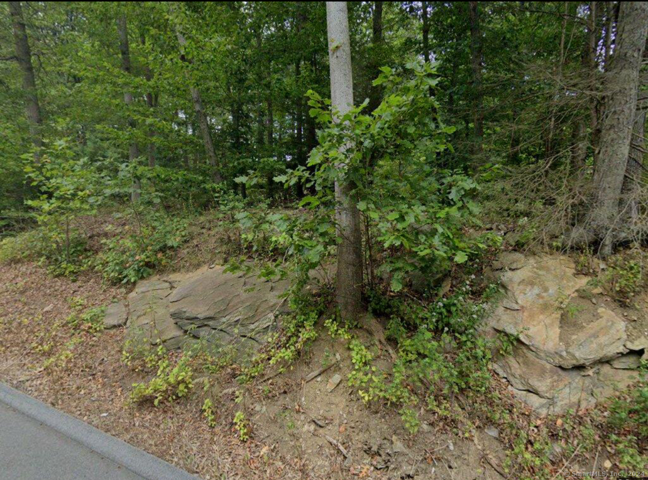 In The Hills of Lichfield County! Fantastic Opportunity to Build Your Dream Home w/ Lots of Privacy on this Wooded 9.27 Acres of Nature & Tranquility. Enjoy the Sounds of Transylvania Brook that Flows through this Property. Located in The Overbrook Subdivision of Woodbury. Woodbury named Most Charming Small Town by Reader's Digest! Near Roxbury Line and Scenic Route 67 and only 90 Minutes to NYC. Please Do Not Go to Property w/o Confirmed Appointment! Buyer to do their Own Due Diligence!