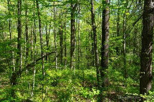 Homes for sale in Barkhamsted, CT | 2 Bsullak Rd, Barkhamsted, CT 06063 | MLS# 24023706