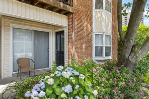 170 Forest Street, Unit APT 1