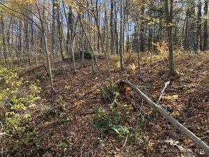 Homes for sale in Sharon, CT | Lot 8 0 Silver Hill Rd, Sharon, CT 06069 | MLS# 24024006