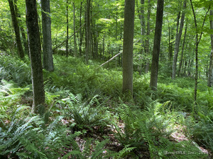 Homes for sale in Sharon, CT | Lot 2 0 Silver Hill Rd, Sharon, CT 06069 | MLS# 24023996