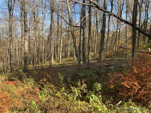 Homes for sale in Sharon, CT | Lot 4 0 Silver Hill Rd, Sharon, CT 06069 | MLS# 24024002