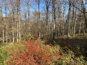 Homes for sale in Sharon, CT | Lot 4 0 Silver Hill Rd, Sharon, CT 06069 | MLS# 24024002