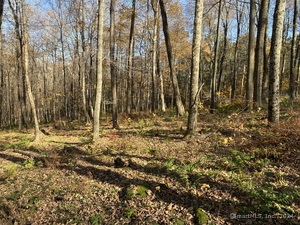 Homes for sale in Sharon, CT | Lot 4 0 Silver Hill Rd, Sharon, CT 06069 | MLS# 24024002