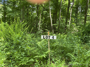 Homes for sale in Sharon, CT | Lot 4 0 Silver Hill Rd, Sharon, CT 06069 | MLS# 24024002