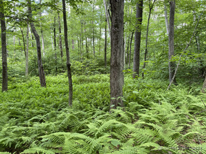 Homes for sale in Sharon, CT | Lot 7 0 Silver Hill Rd, Sharon, CT 06069 | MLS# 24024003