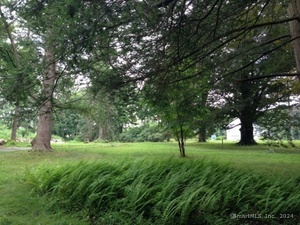 Homes for sale in New Canaan, CT | 136L Carter St, New Canaan, CT 06840 | MLS# 24027432