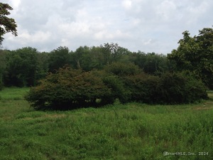 Homes for sale in New Canaan, CT | 140L Carter St, New Canaan, CT 06840 | MLS# 24027433