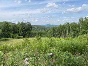 Homes for sale in Sharon, CT | Lot 5&6 0 Silver Hill Rd, Sharon, CT 06069 | MLS# 24024008