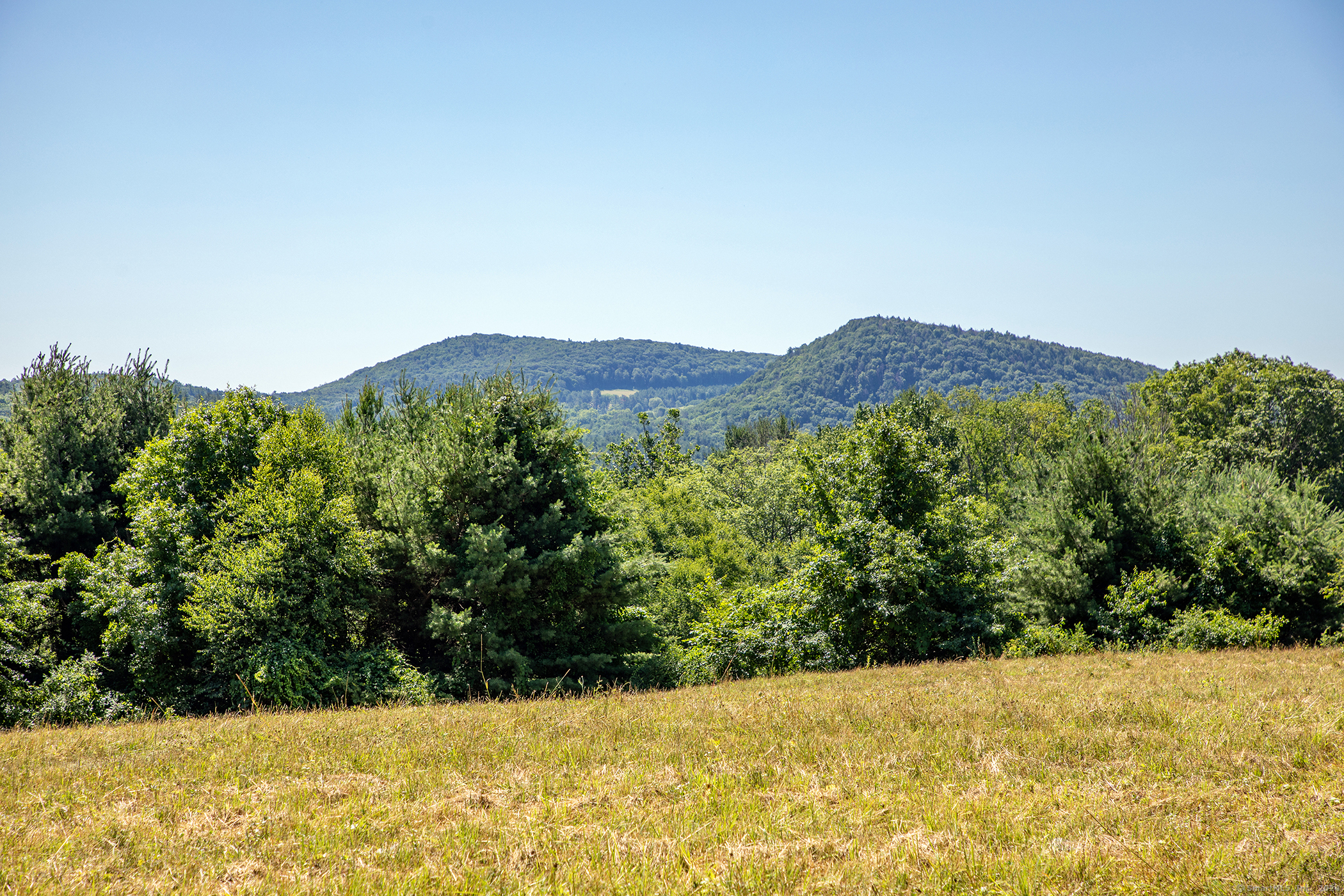 'The Secret Field' - High Open Pasture with Views Set Way Back From Road. Property is a Mix of Light Woods & Open Grassland with Wonderful Eastern & Southern Views. Small Stream. 5 Min to the Village of Salisbury CT. Abuts Major Estates & Larger Parcels.