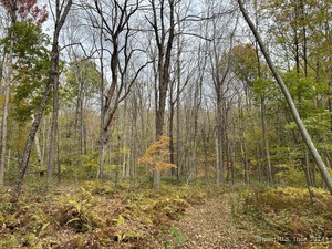 Homes for sale in Sharon, CT | 120 Westwoods Road 1 #Lot 5, Sharon, CT 06069 | MLS# 24034004