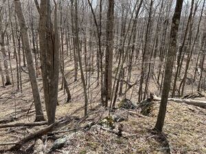 Homes for sale in Sharon, CT | 120 Westwoods Road 1 #Lot 5, Sharon, CT 06069 | MLS# 24034004