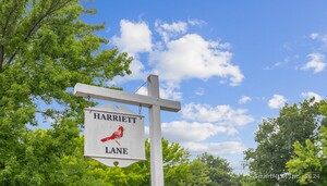 14 Harriet Lane