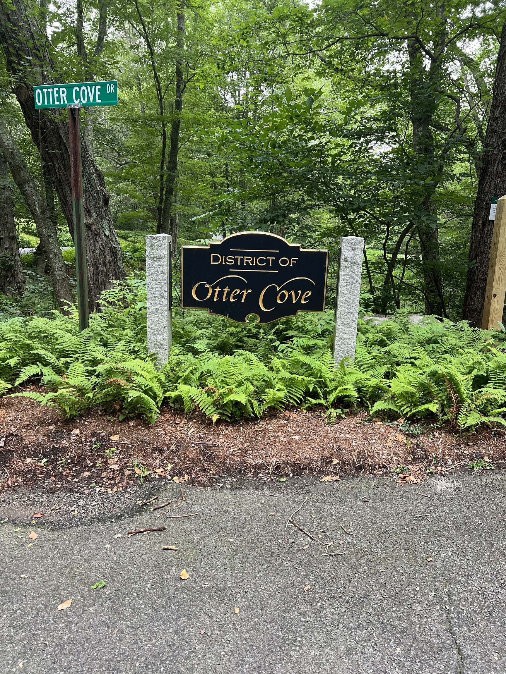 66 Otter Cove Drive Old Saybrook CT