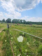 Homes for sale in East Granby, CT | 85 East St, East Granby, CT 06026 | MLS# 170553141