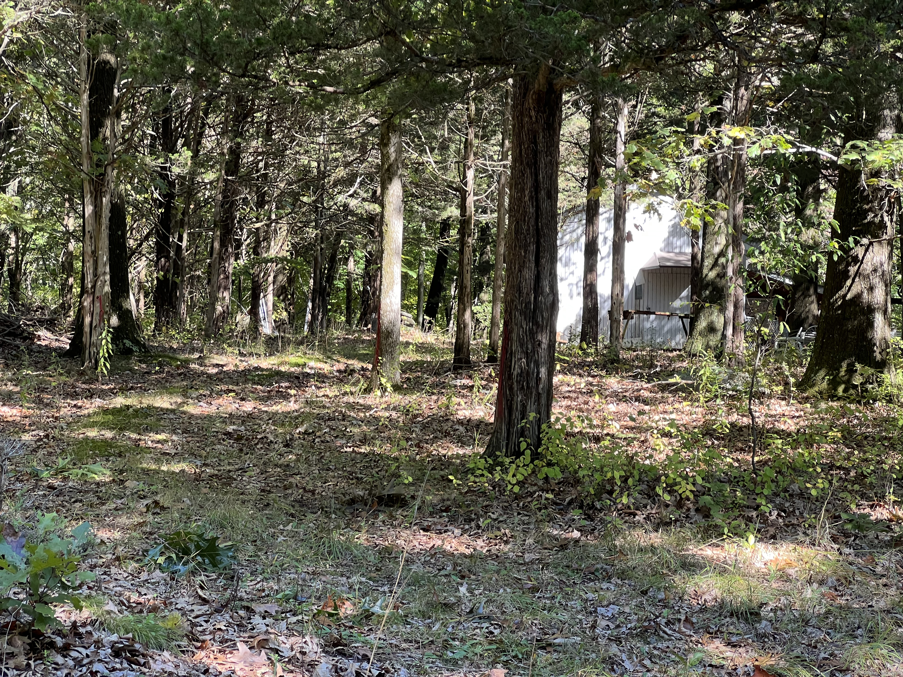 5 Lake Lillinonah, Bridgewater, 06752, ,Lots And Land For Sale,For Sale,Lake Lillinonah,170621007