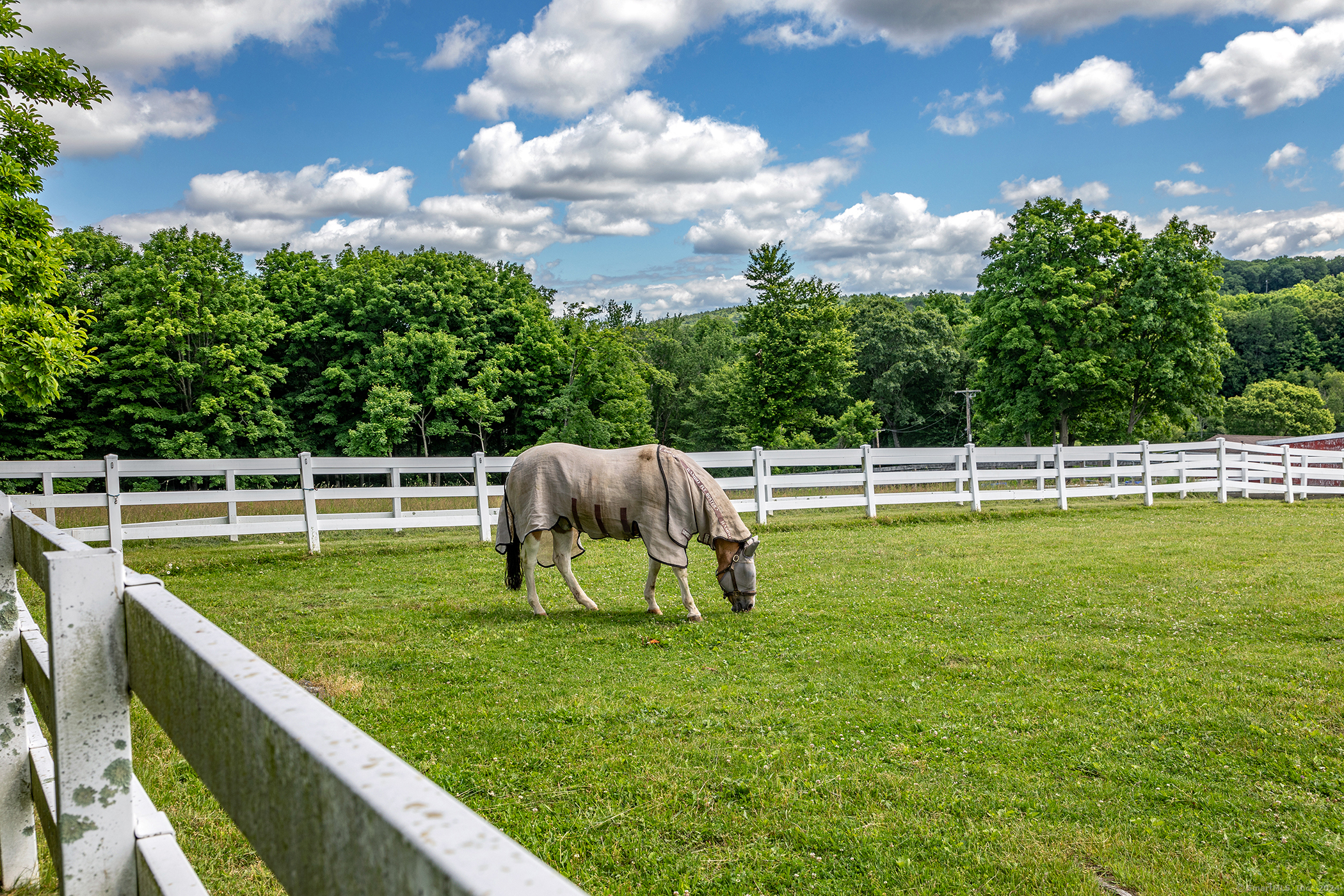 225 Old Sherman Hill, Woodbury, Connecticut 06798