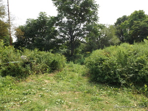 Homes for sale in Bridgeport, CT | 926 Hart St, Bridgeport, CT 06602 | MLS# 24042834