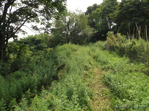 Homes for sale in Bridgeport, CT | 926 Hart St, Bridgeport, CT 06602 | MLS# 24042834