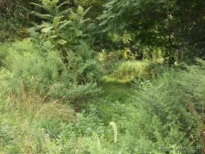 Homes for sale in Bridgeport, CT | 926 Hart St, Bridgeport, CT 06602 | MLS# 24042834