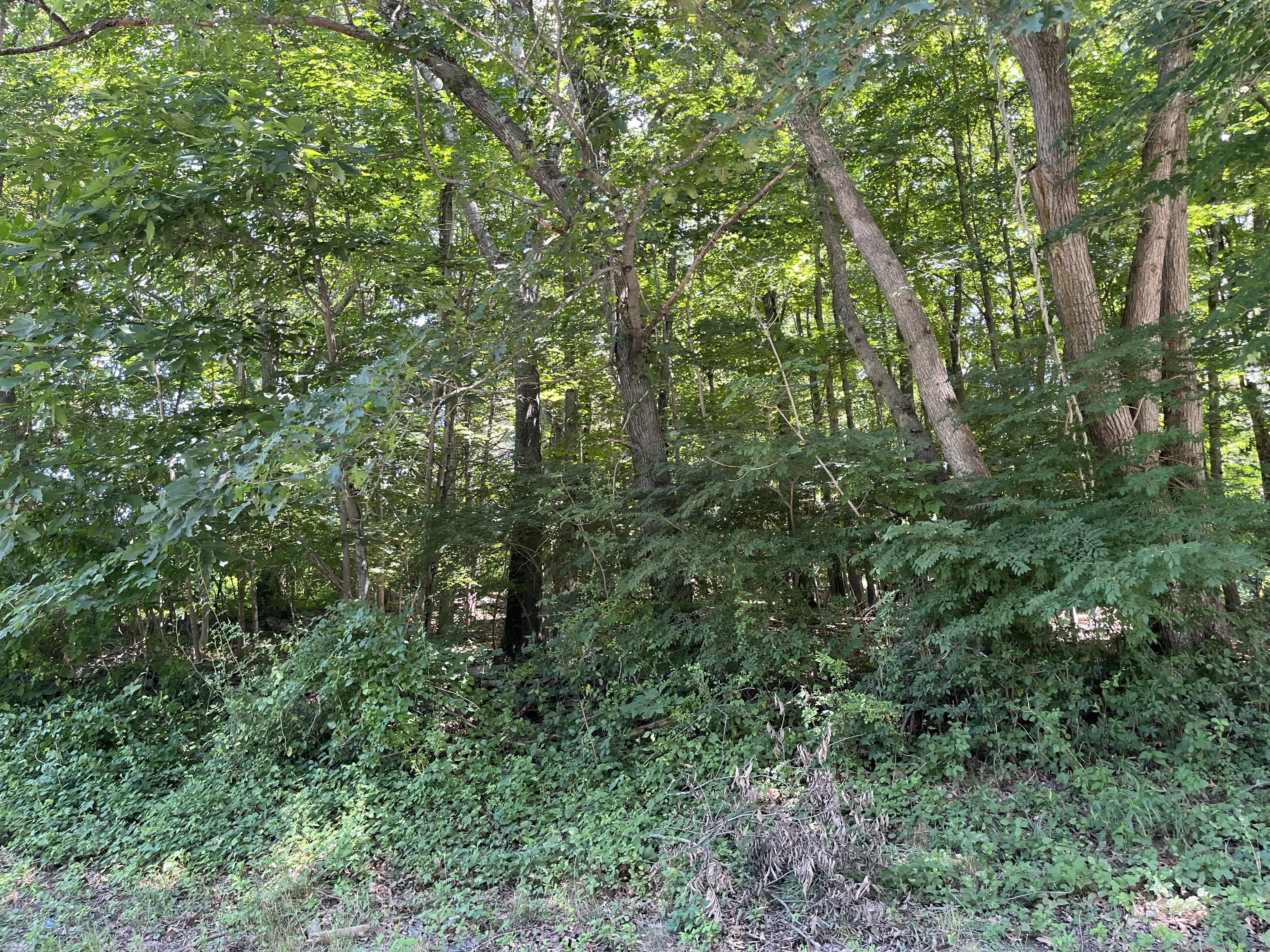 127 Case, Norwich, 06360, ,Lots And Land For Sale,For Sale,Case,170621265