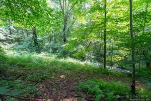 Homes for sale in Plymouth, CT | 140A E Plymouth Rd, Plymouth, CT 06786 | MLS# 24047241